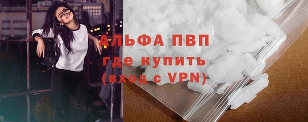 ПСИЛОЦИБИНОВЫЕ ГРИБЫ Новодвинск
