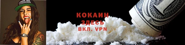 индика Новокубанск