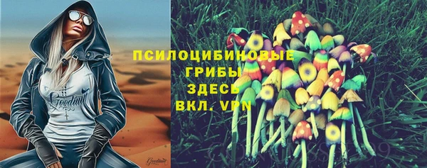 ПСИЛОЦИБИНОВЫЕ ГРИБЫ Новодвинск