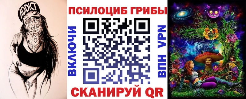 Псилоцибиновые грибы мицелий  наркота  Циолковский 